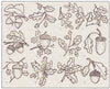 9 - ACORNS & OAKS - PDF DOWNLOAD